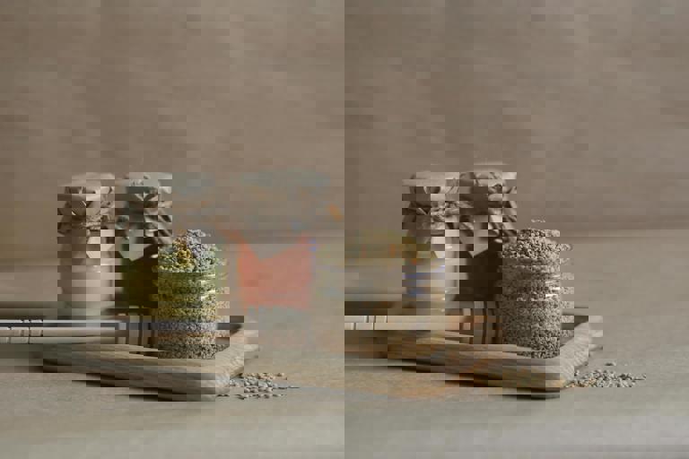 High-Rise Beekeepers Harvest Rooftop Honey for New Craft Brewery